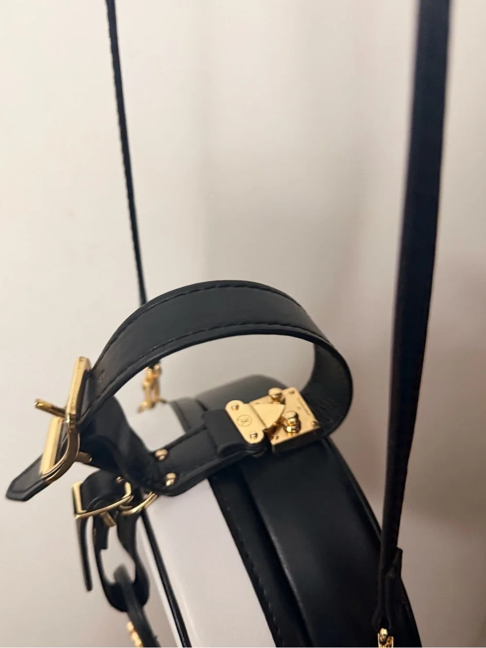 Louis Vuitton Black and White Round Crossbody with Gold Hardware - Picture 4 of 7